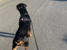 max 2022 5